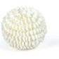 Natural Clamrose Sea Shell Fill Ball