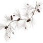Champagne Spruce and Pinecone Garland