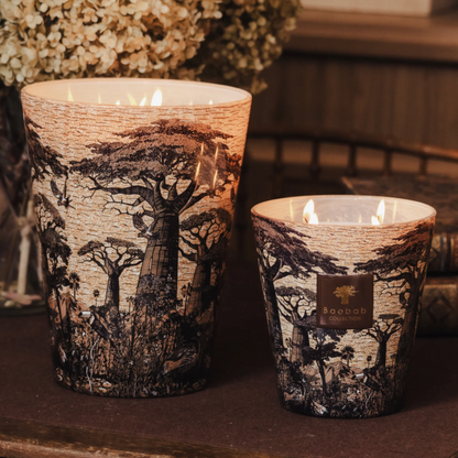 Sacred Trees Mankono Scented Candle