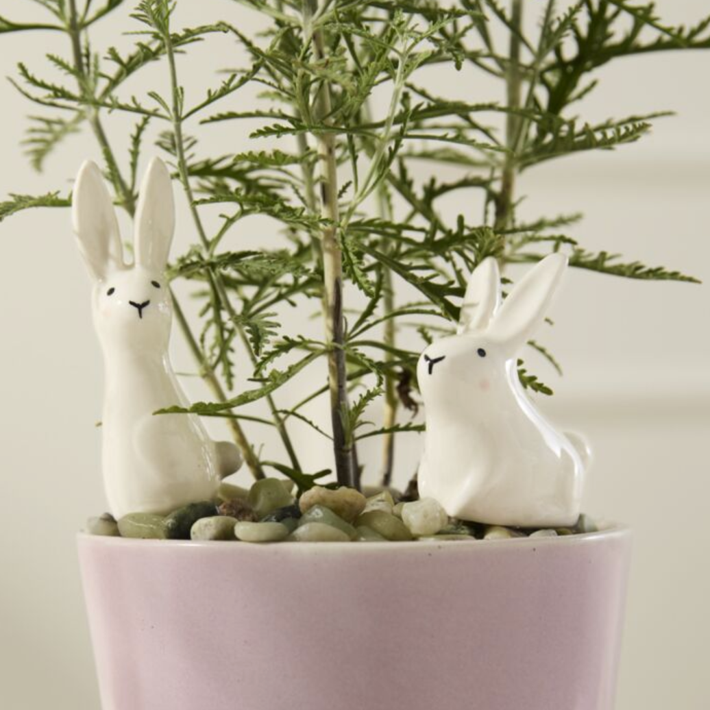 Thumper Plant Sticks - Set of 2