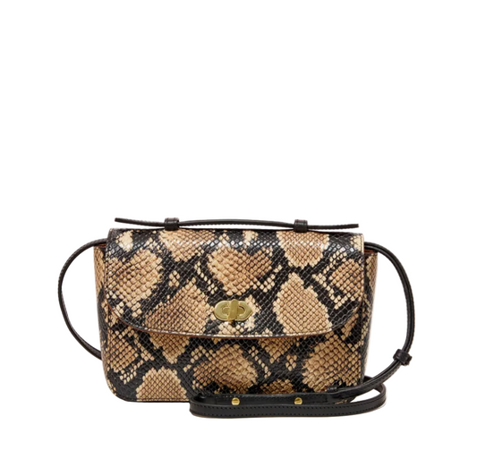 Kathryn - Desert Snake