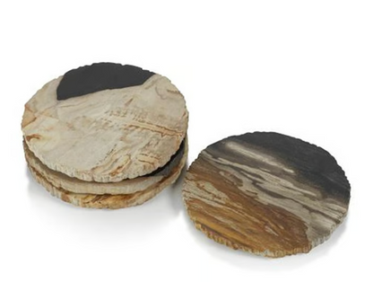 Curio Bay Petrified Wood Coaster 4"