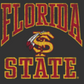 Florida State Tri-Blend Tee