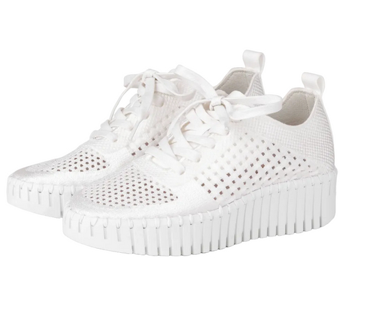 Tulip Laced Sneaker