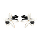 Black Panther & White Erine Flower Stud Earrings