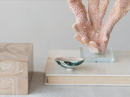 Decorative Natural Shell Footed Dish