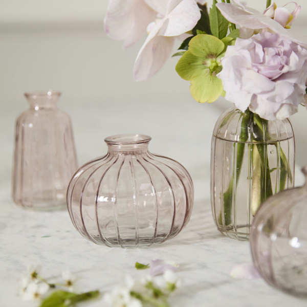 Livi Budvase - Pale Pink