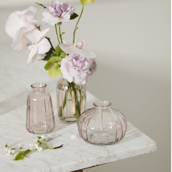 Livi Budvase - Pale Pink