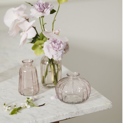 Livi Budvase - Pale Pink