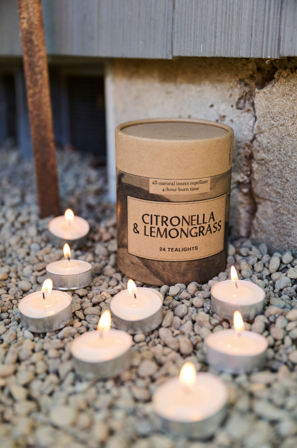 Citronella & Lemongrass Scented Tealights in Box - Set of 24