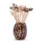Tiger Cowrie Shell with 20 Assorted Sea Shell Picks