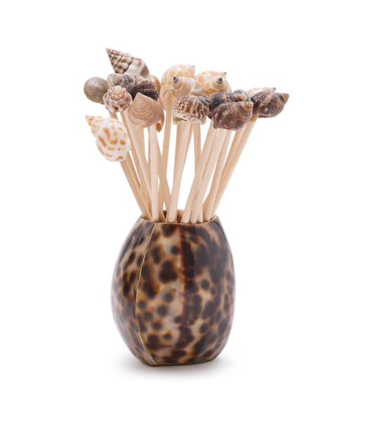 Tiger Cowrie Shell with 20 Assorted Sea Shell Picks
