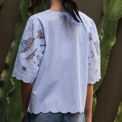 Delphinium Top