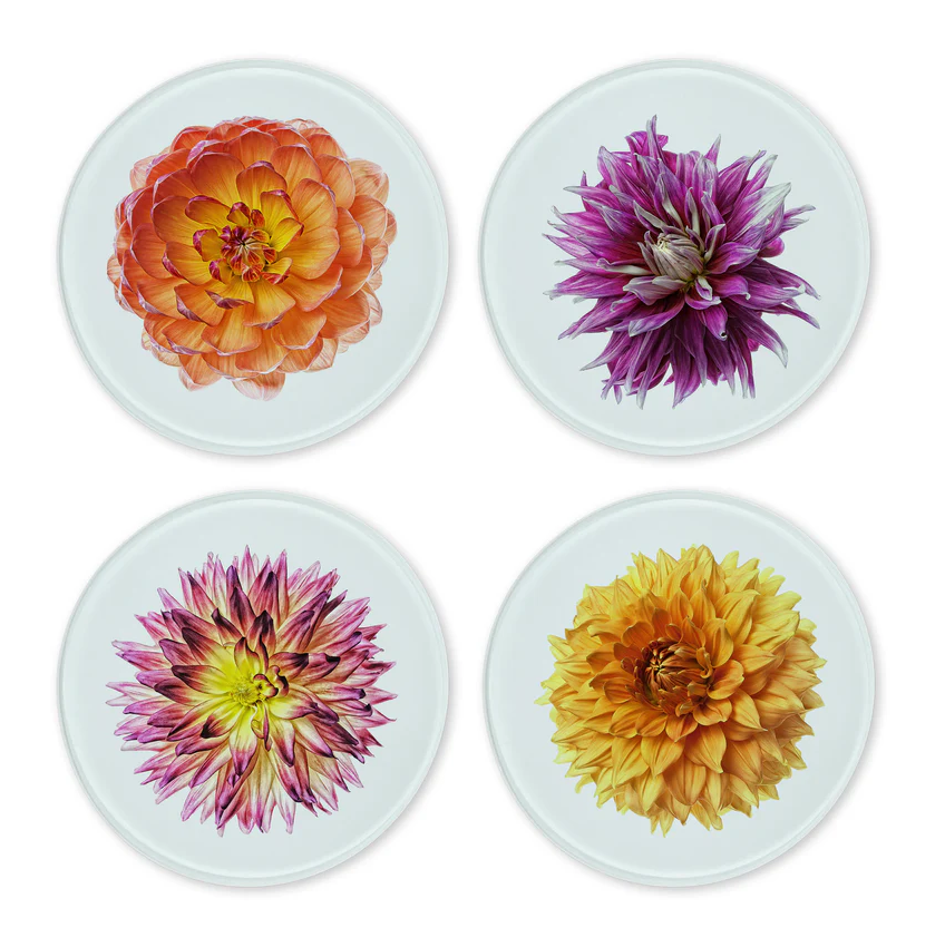 Glass Coasters - Set of 4