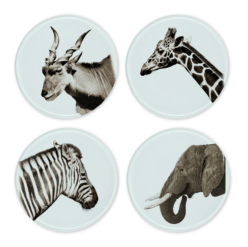 Glass Coasters - Set of 4
