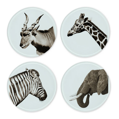 Glass Coasters - Set of 4