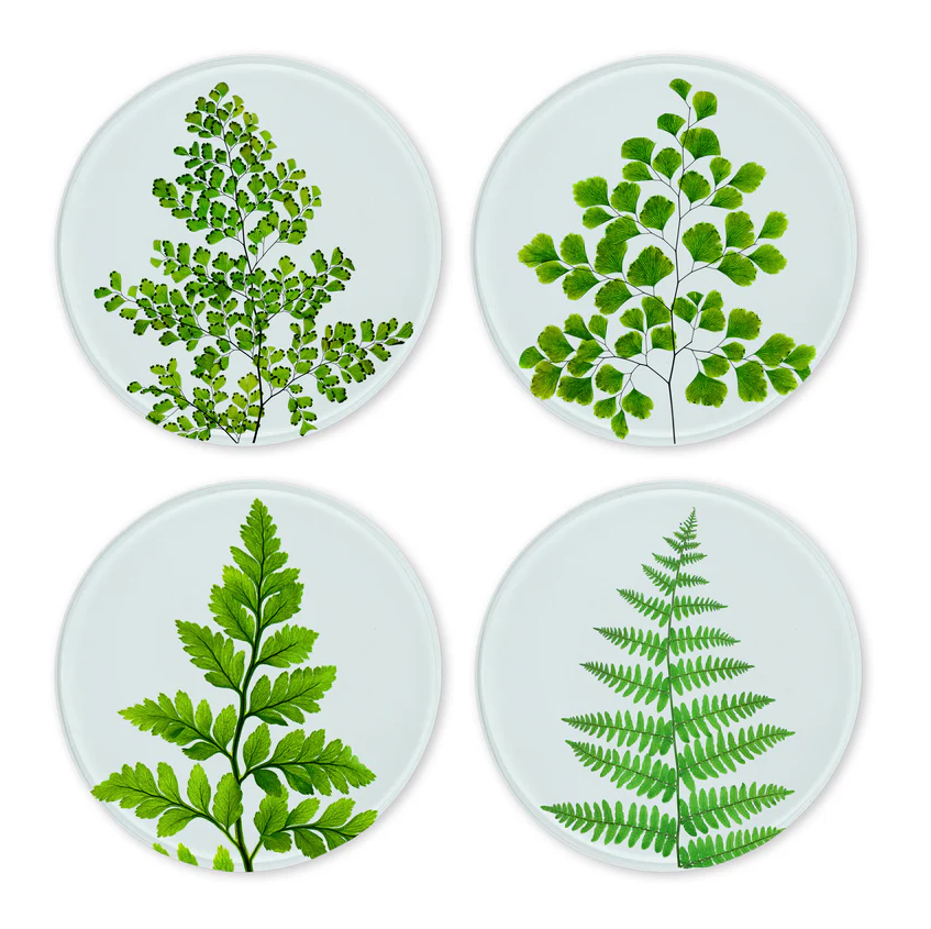 Glass Coasters - Set of 4