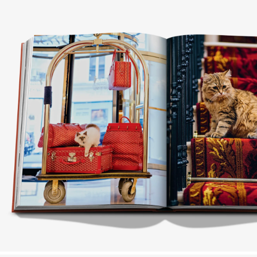 Chic Cats