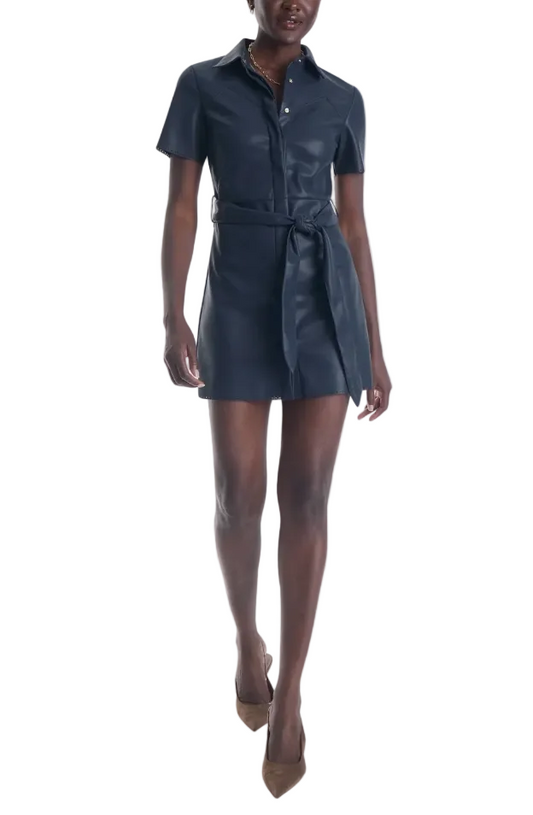 Mallie Vegan Leather Mini Dress