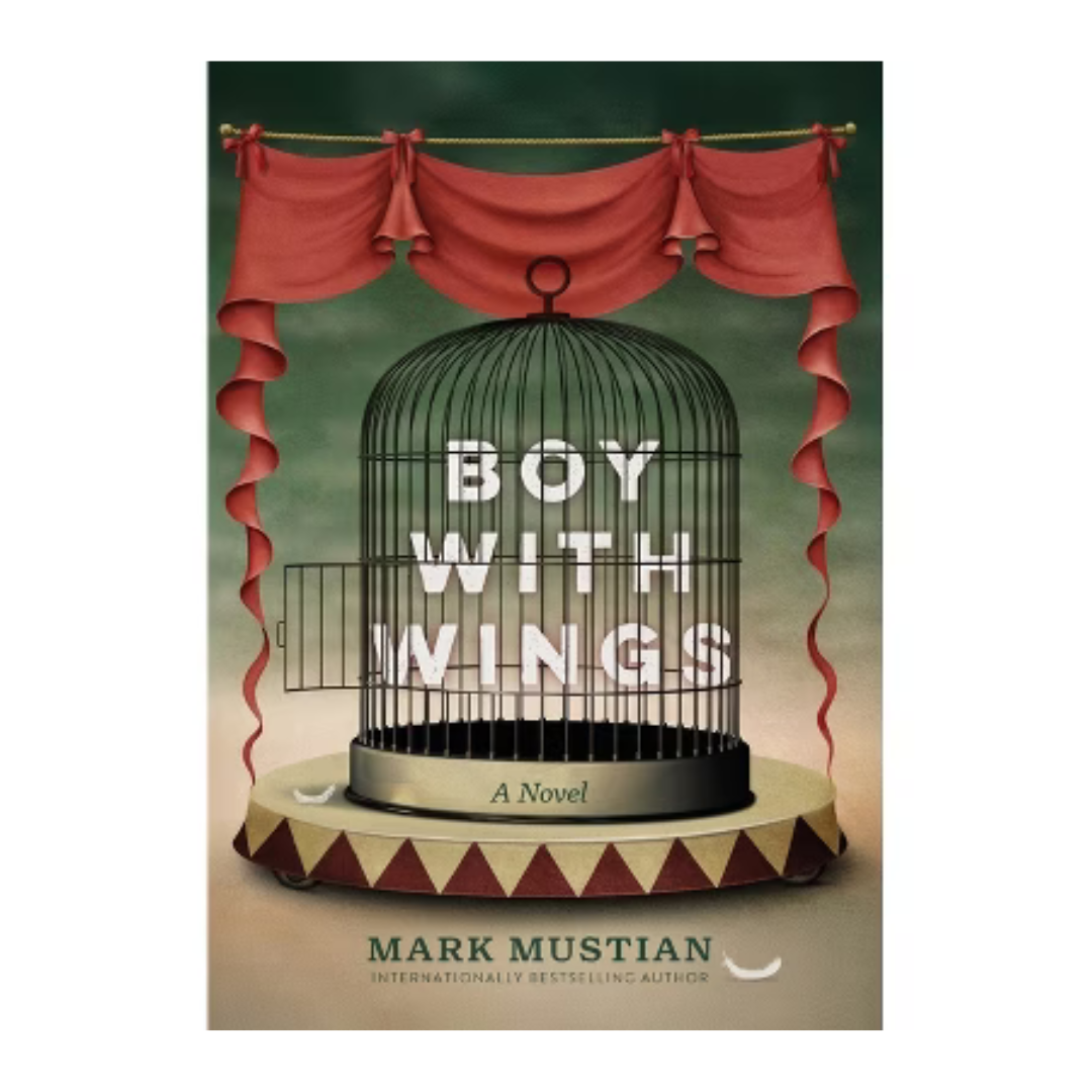 Boy with wings by Mark Mustian (PB)