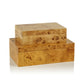 Leiden Burl Wood Design Box