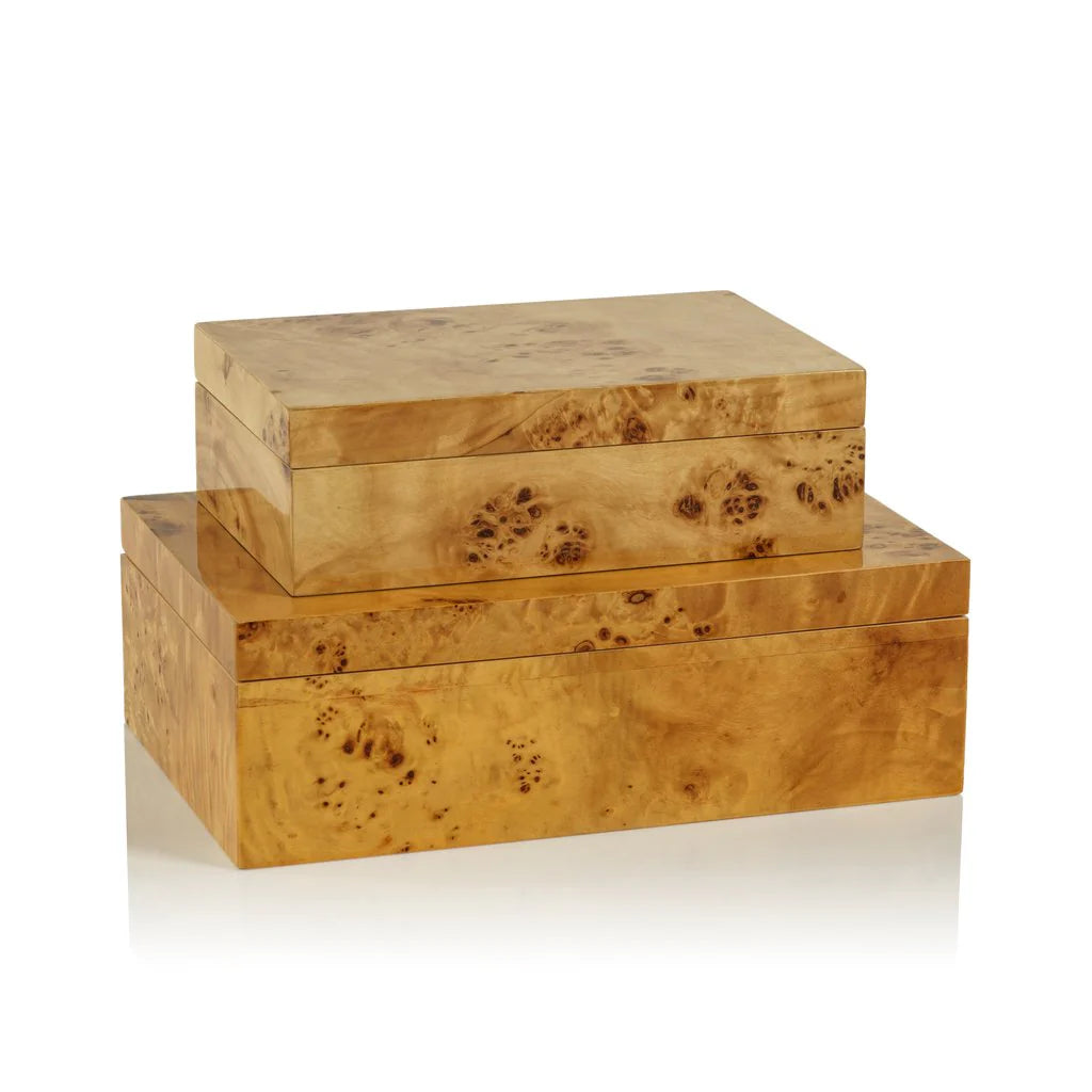 Leiden Burl Wood Design Box