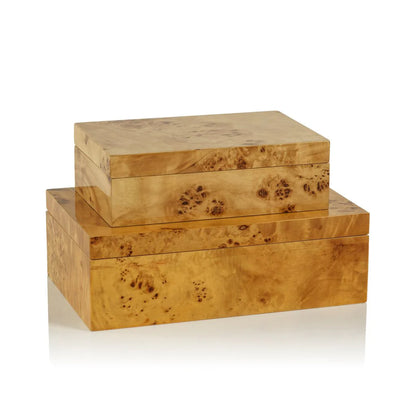 Leiden Burl Wood Design Box