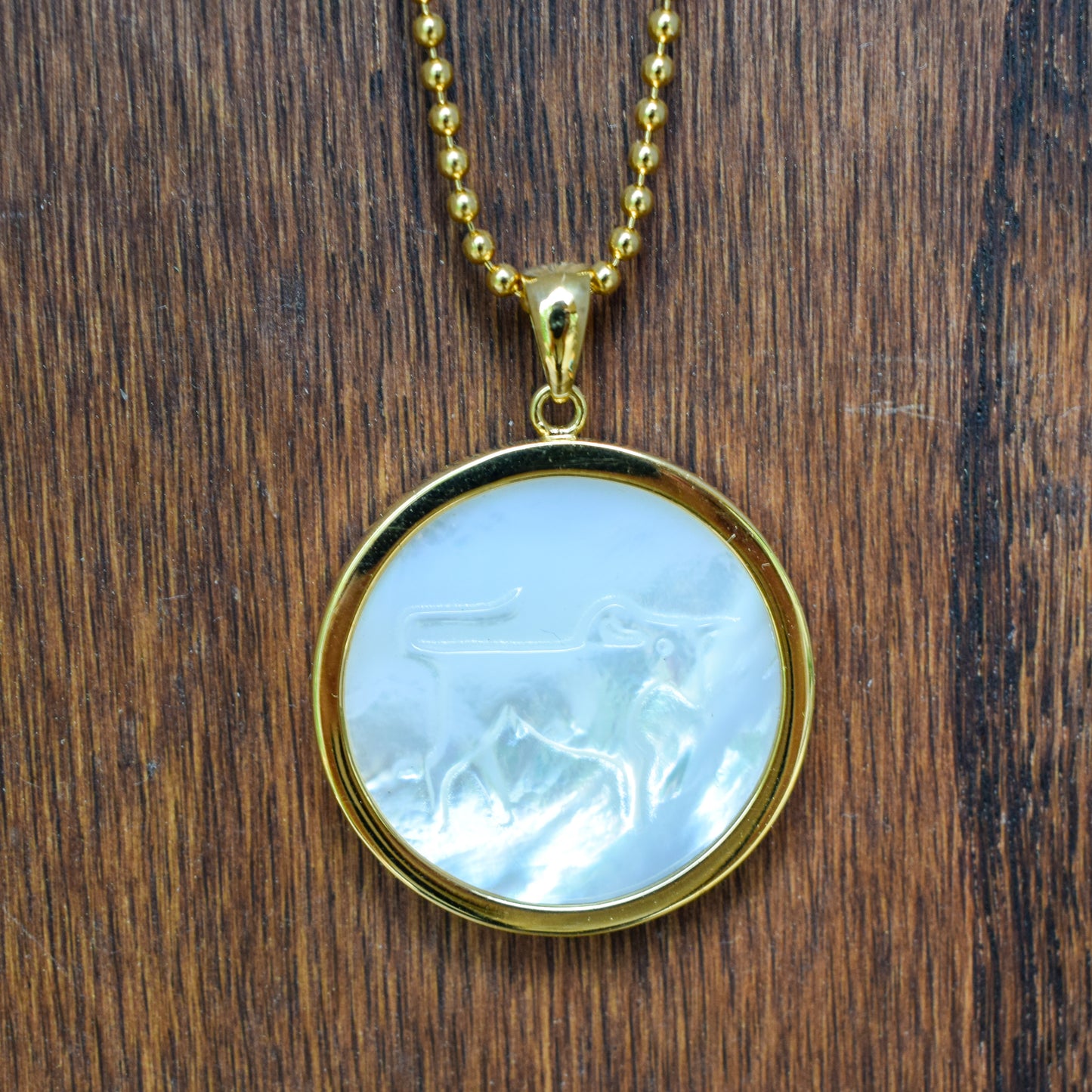 Zodiac Pendant Necklace