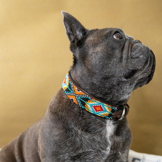 Sambboho Dog Collar