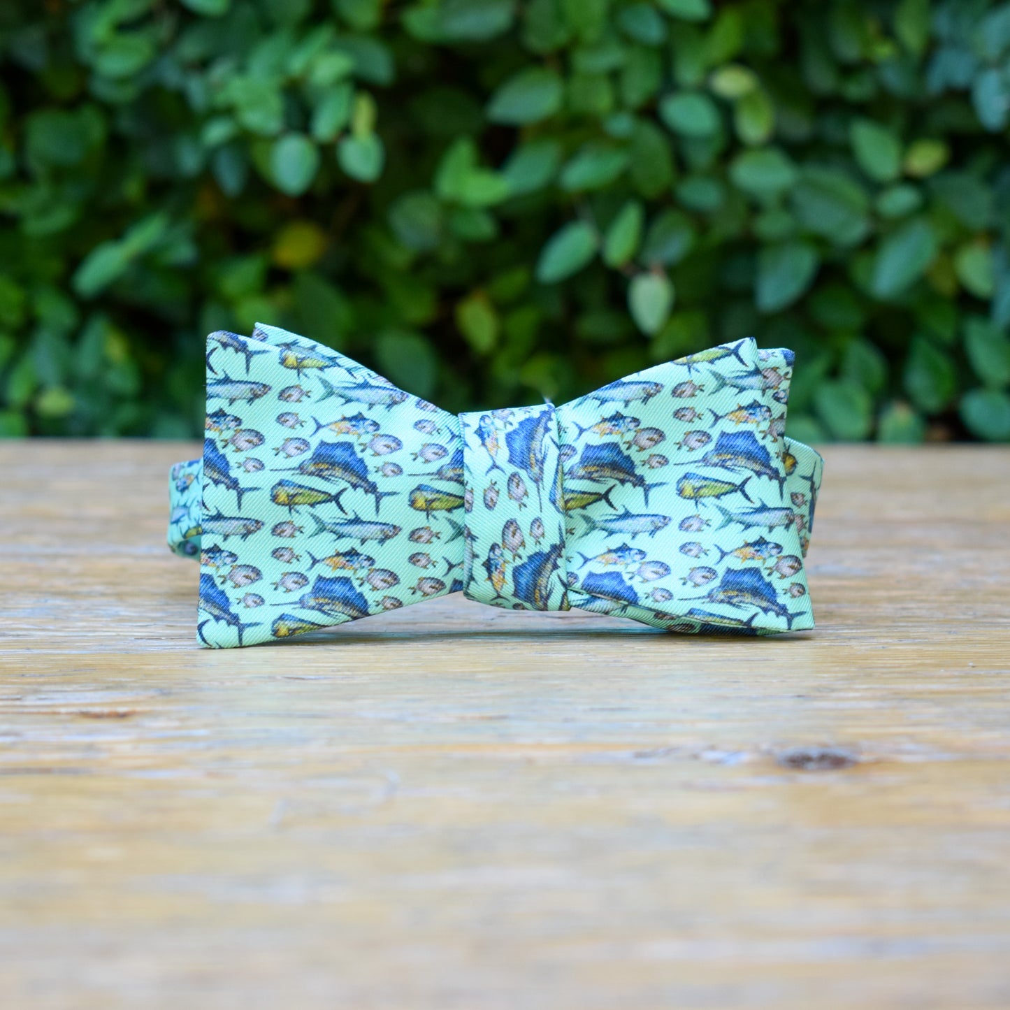 Bow Tie