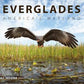 Everglades America's Wetland by Mac Stone