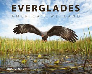 Everglades America's Wetland by Mac Stone