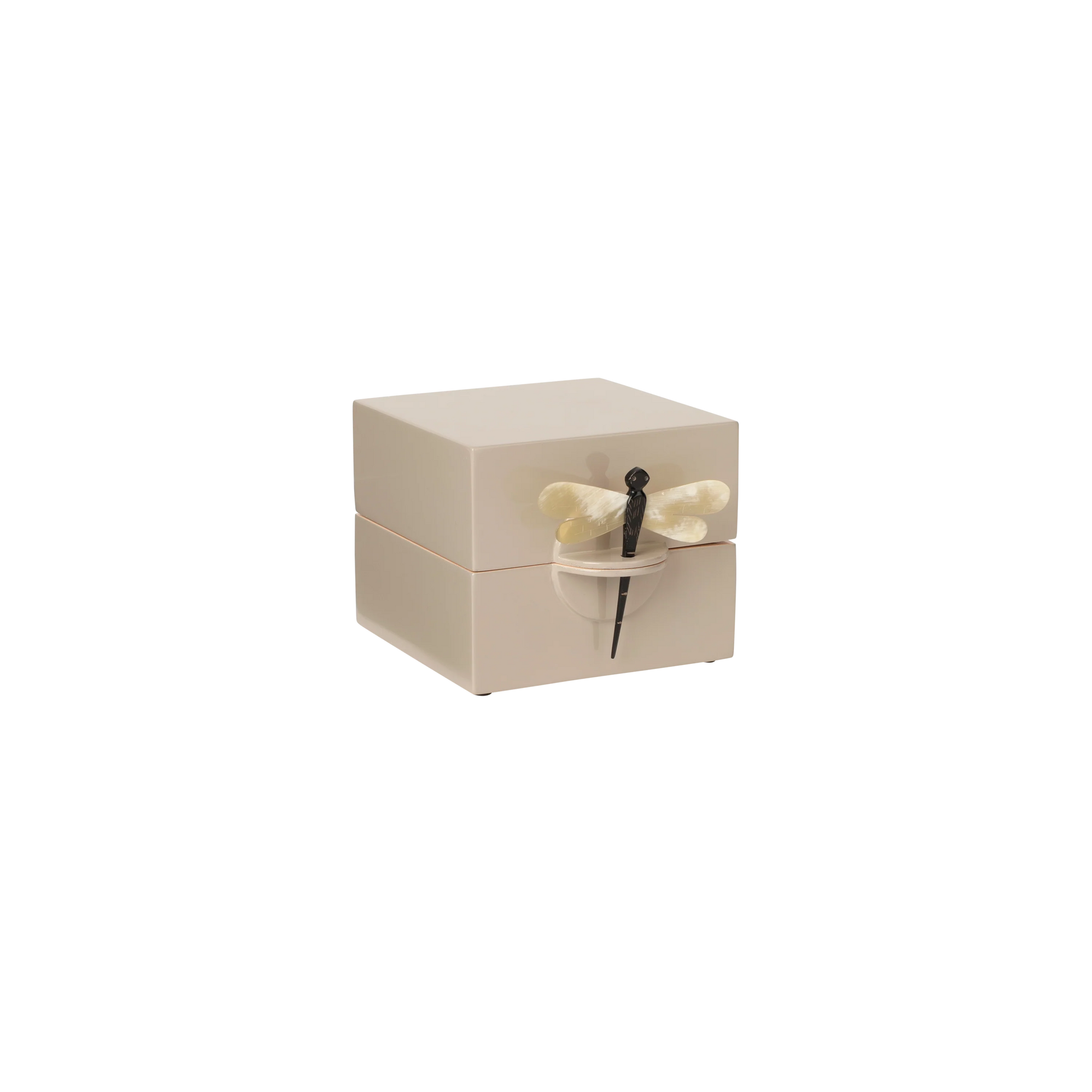 Lacquer Dragonfly Box - Small