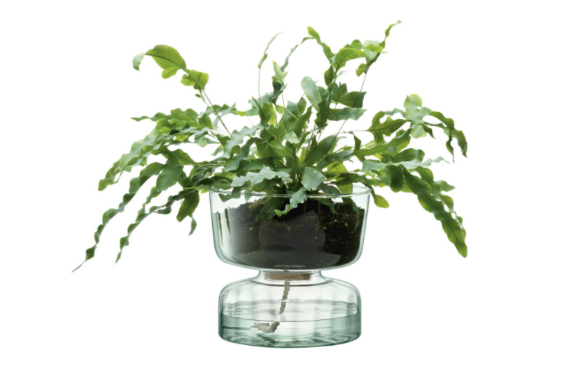 Canopy Self Watering Planter