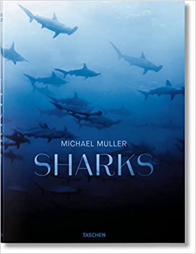 Michael Muller. SHARKS