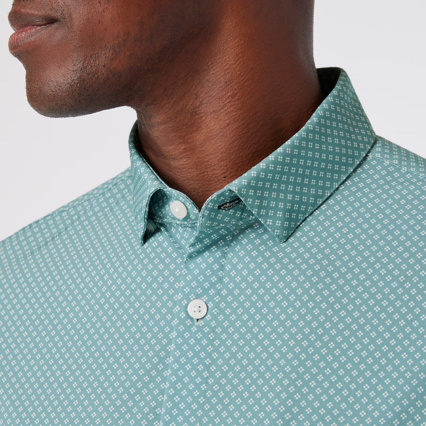 Leeward SS Dress Shirt - Pale Balsam Clover