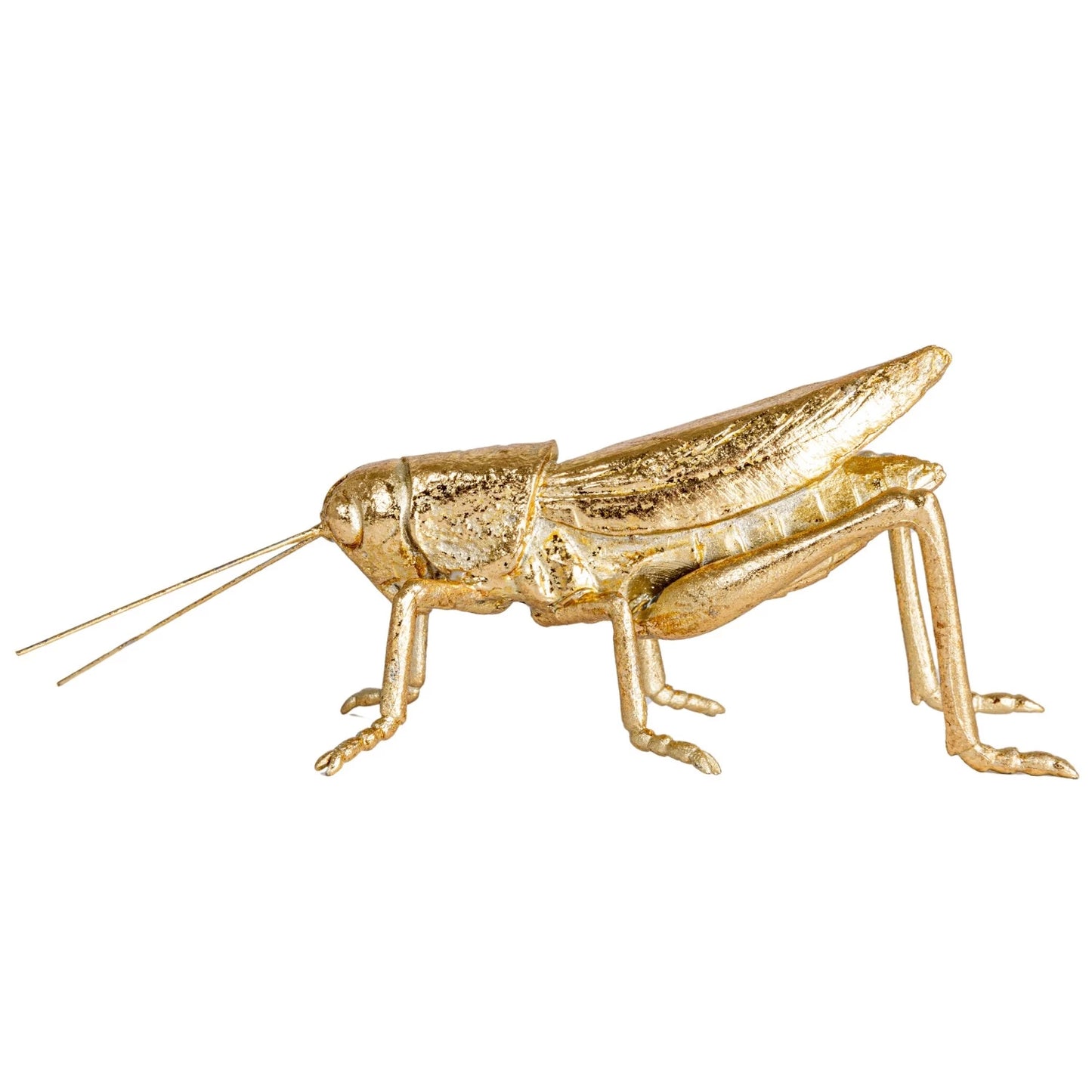 Gold Grasshopper