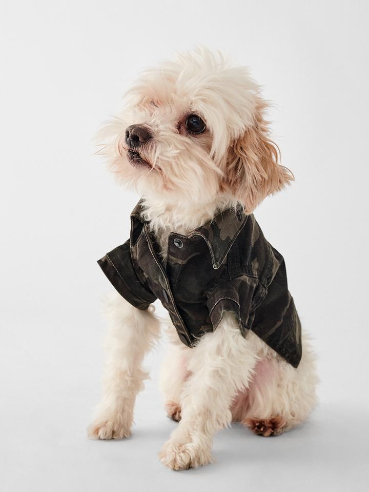 Fido Jacket