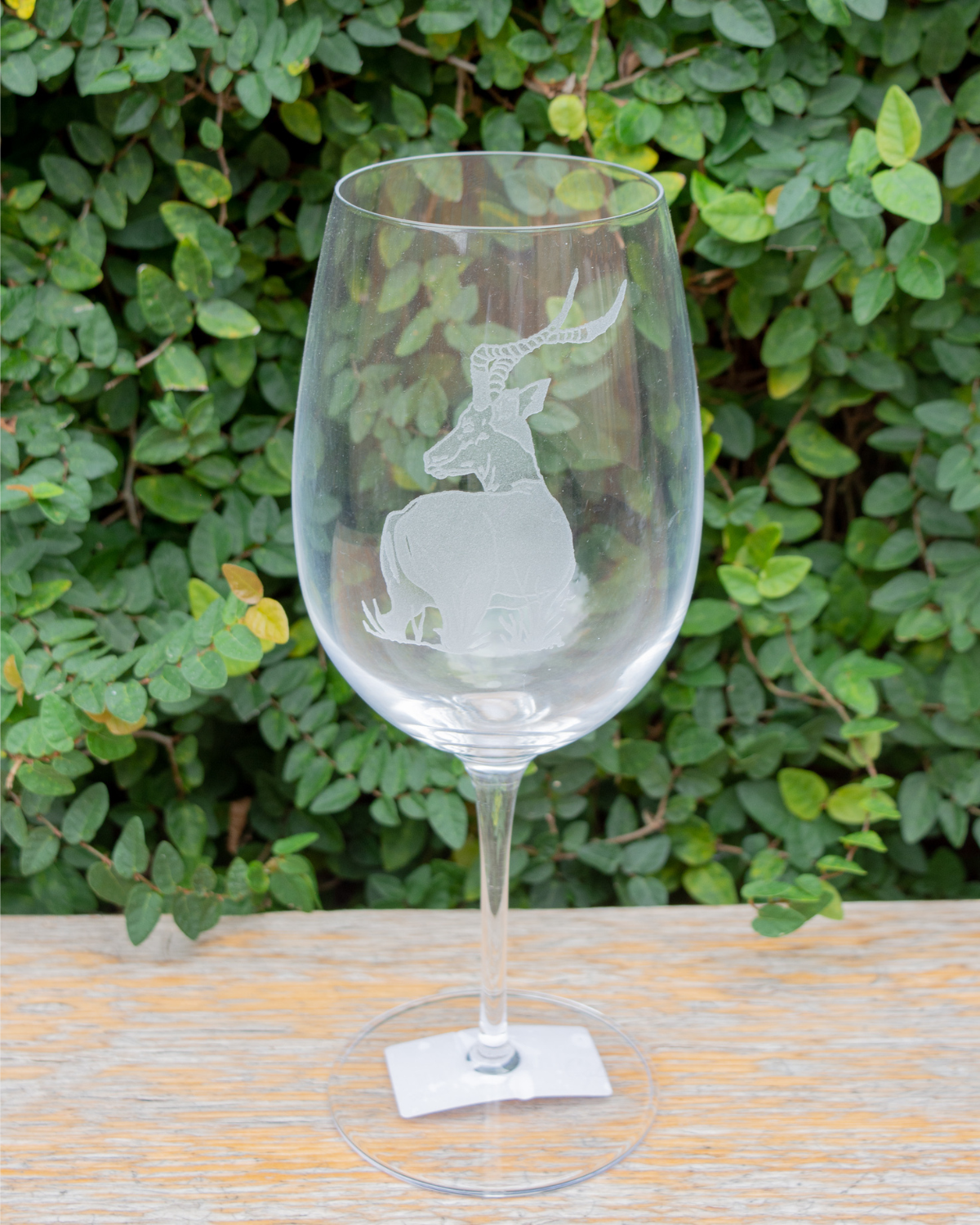 Wine Glass