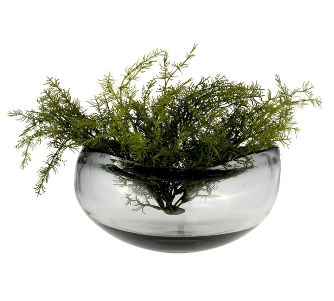 Irregular Shape Bowl