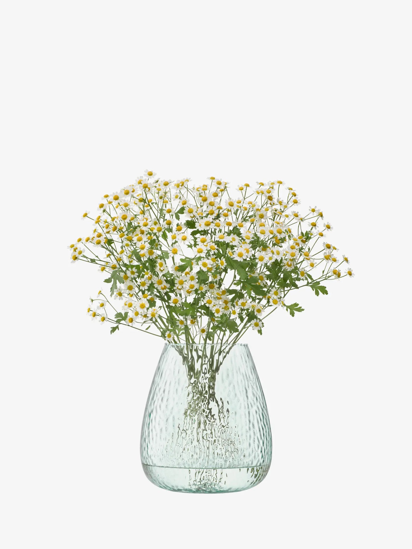 Canopy Seed Vase - 9.75in