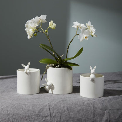 Peeking Bunny Pot