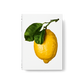 The Gourmand’s Lemon Collection of Stories and Recipes